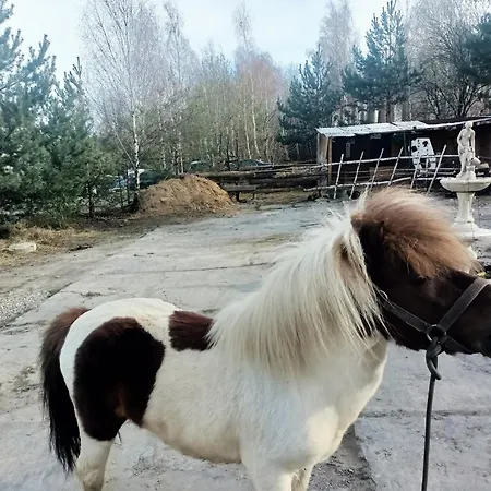 호스텔 Apollo 4 Osobowy Szklary-huta26