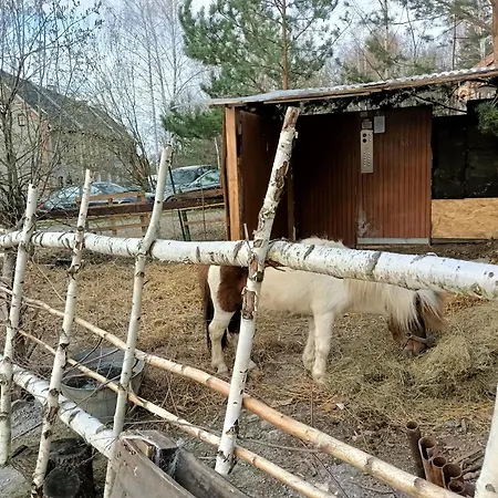 Хостел Apollo Hostel Pokoje 2-5 Osobowe Szklary-Huta26 Зомбковице-Слёнске