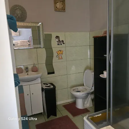 Apollo Hostel Pokoje 2-5 Osobowe Szklary-Huta26