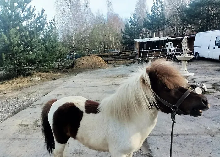 Vandrerhjem Apollo 4 Osobowy Szklary-huta26