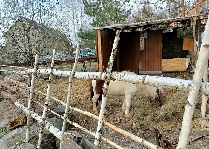 Vandrerhjem Apollo 4 Osobowy Szklary-huta26 Zabkowice Slaskie